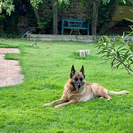 Santa Caterina - Dog Friendly With Garden Villa Sobrestany Luaran gambar