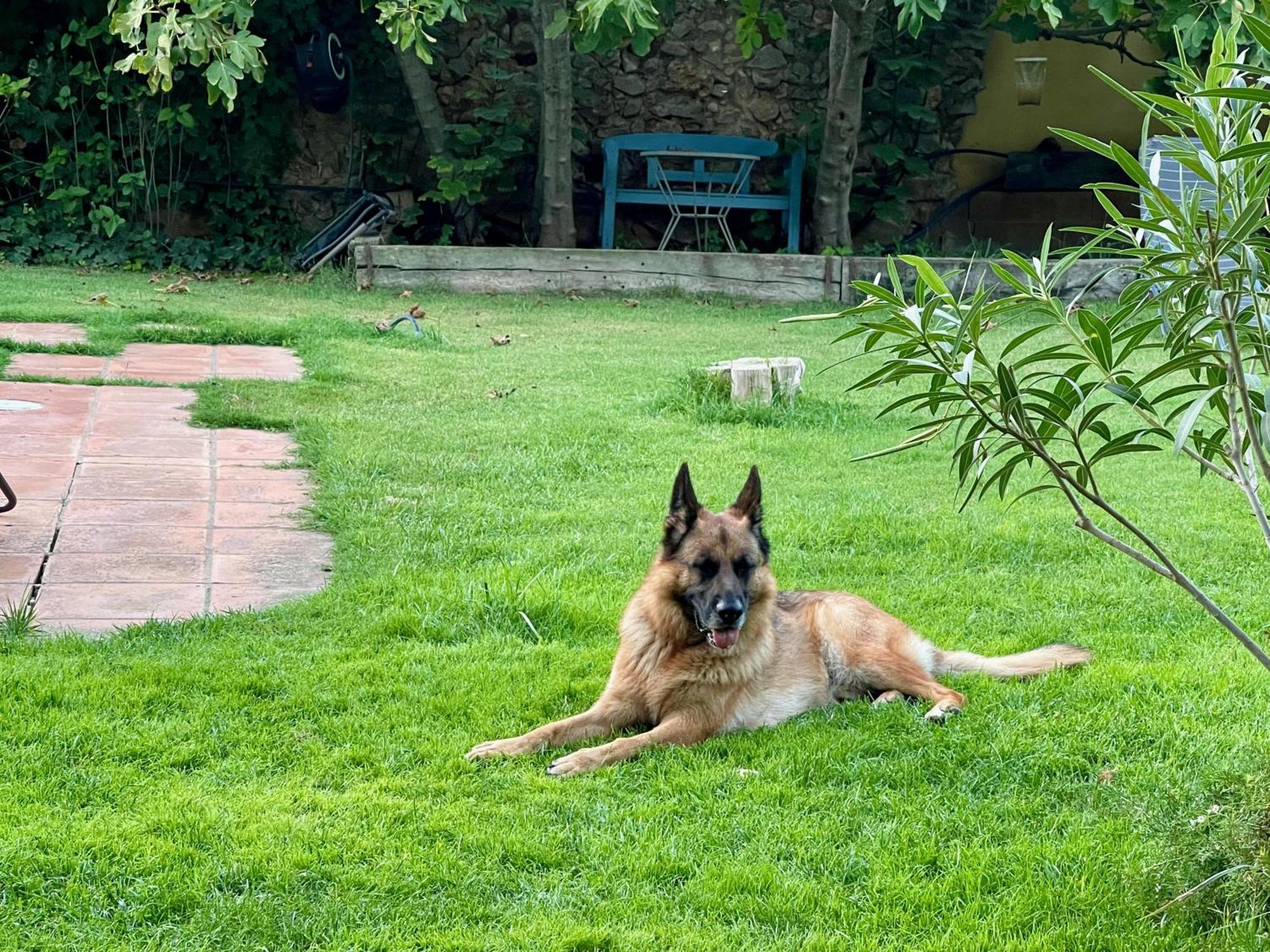 Santa Caterina - Dog Friendly With Garden Villa Sobrestany Luaran gambar